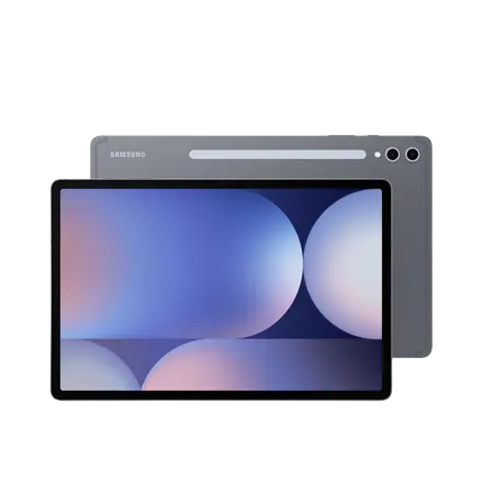 삼성전자 갤럭시탭 S10 플러스 256GB/512GB, Wi-Fi, 512GB, 문스톤 그레이