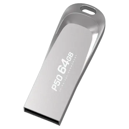 PLEIGO USB 메모리 P50, 64GB, 1개