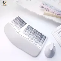 FUXNGZI 무선 인체공학 키보드 사무용무선 키보드 + 버티컬 마우스 세트
