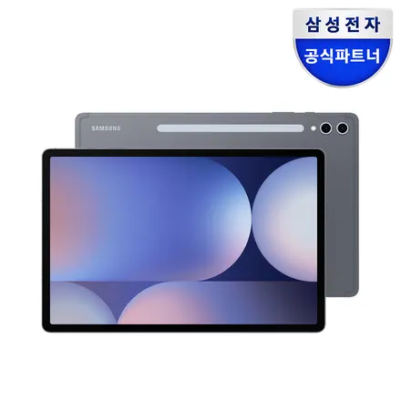 삼성전자 갤럭시탭 S10 플러스 256GB/512GB, Wi-Fi, 256GB, 문스톤 그레이