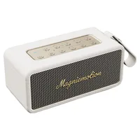 브리츠 60W 프리미엄 거실용 매장용 블루투스 스피커, 아이보리, BZ-MG80 Pro