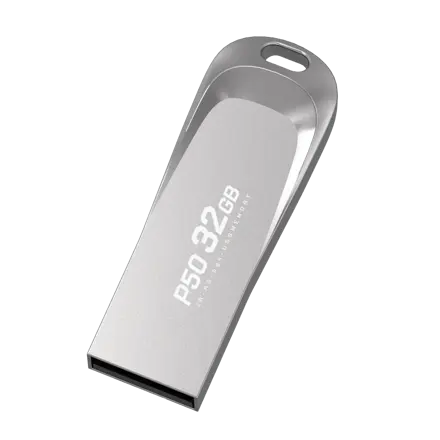 PLEIGO USB 메모리 P50